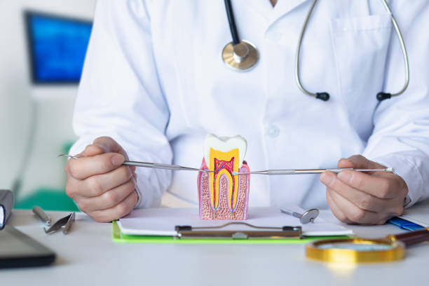 Best Emergency Root Canal Treatment in Granger, WA